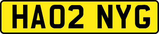 HA02NYG