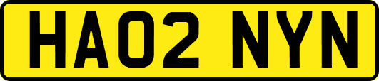 HA02NYN