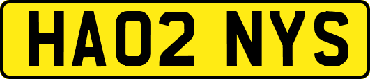 HA02NYS