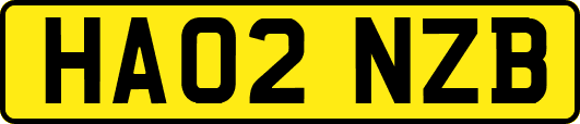 HA02NZB