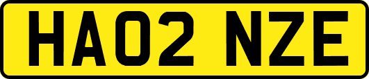 HA02NZE
