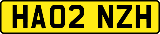HA02NZH