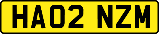 HA02NZM