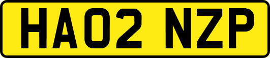 HA02NZP