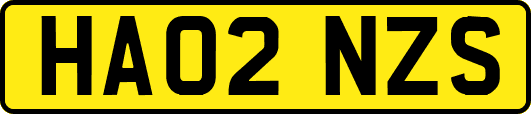 HA02NZS