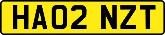 HA02NZT
