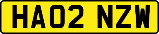 HA02NZW