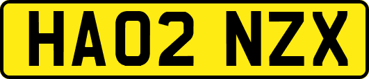HA02NZX