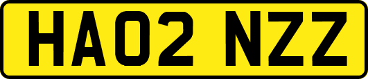 HA02NZZ