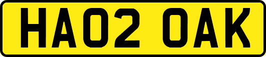 HA02OAK