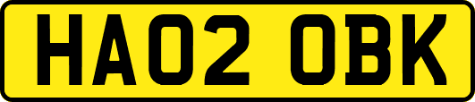 HA02OBK