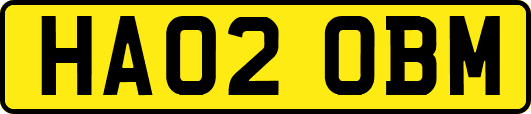 HA02OBM