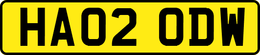HA02ODW