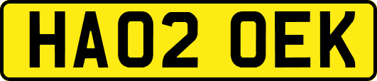 HA02OEK