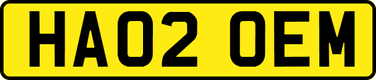 HA02OEM