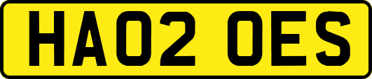HA02OES