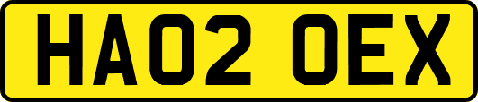 HA02OEX