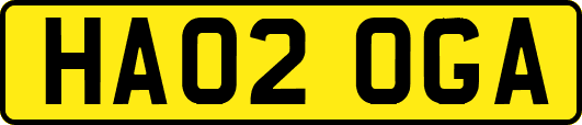 HA02OGA