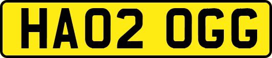 HA02OGG