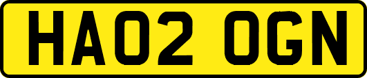 HA02OGN