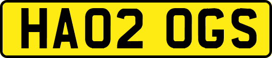 HA02OGS