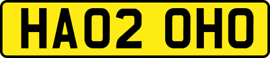 HA02OHO