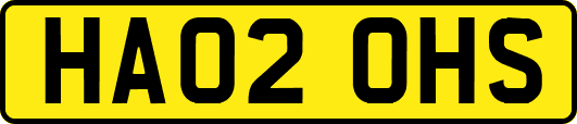 HA02OHS