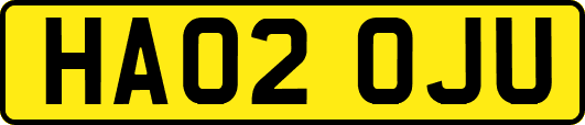 HA02OJU