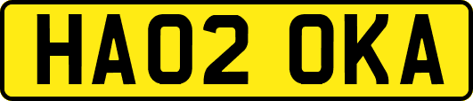 HA02OKA