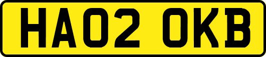 HA02OKB