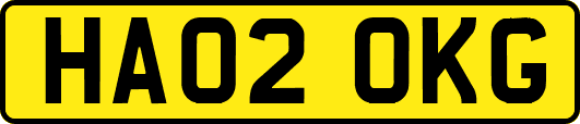 HA02OKG