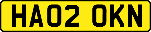 HA02OKN