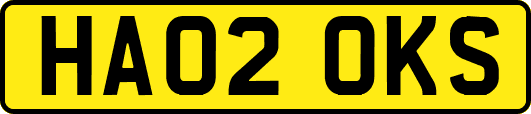 HA02OKS