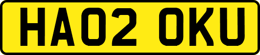 HA02OKU