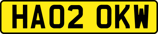 HA02OKW