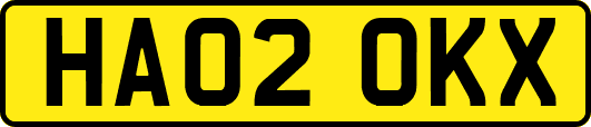 HA02OKX
