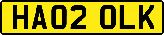 HA02OLK