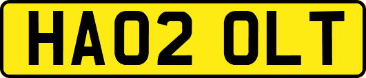 HA02OLT