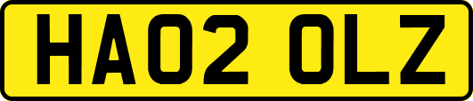 HA02OLZ