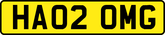 HA02OMG