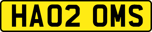 HA02OMS