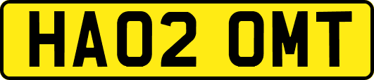 HA02OMT