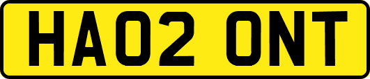 HA02ONT