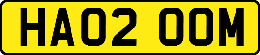 HA02OOM