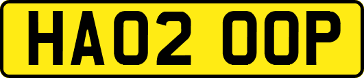HA02OOP
