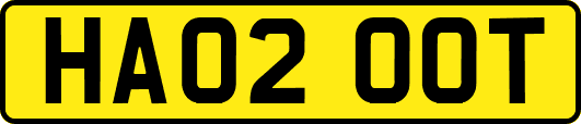 HA02OOT