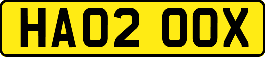 HA02OOX