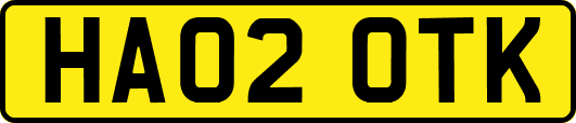 HA02OTK
