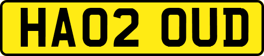 HA02OUD
