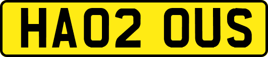 HA02OUS